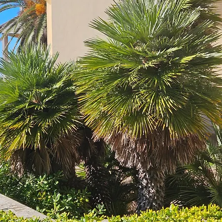 Casa Voglia Di Mare Santa Marinella